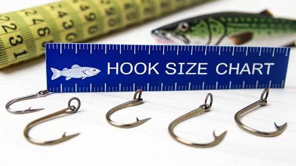 fisherman's hook